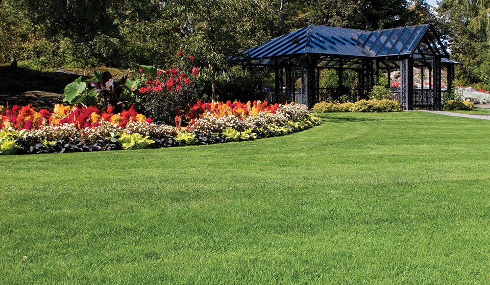 B-hyve Smart Watering