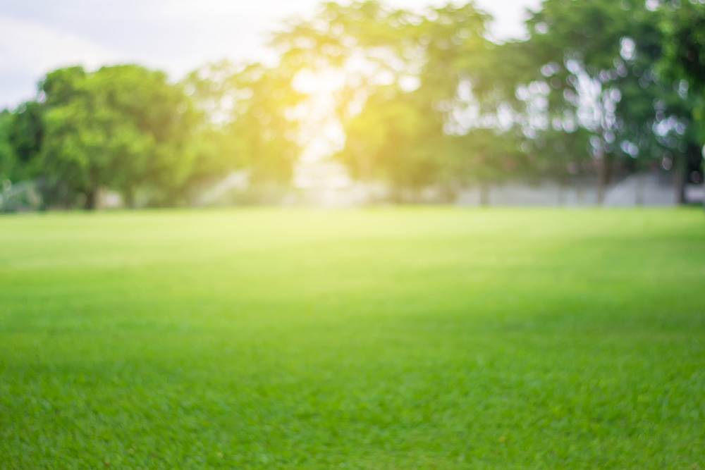 B-hyve Smart Watering